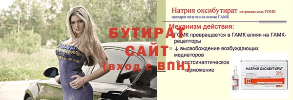 сатива Иннополис