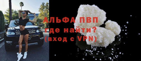 стаф Инта