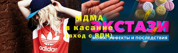 стаф Инта