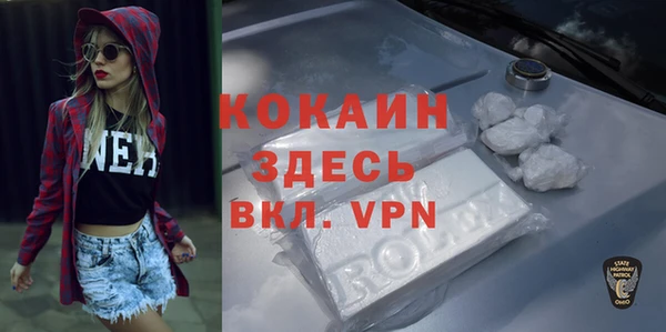 сатива Иннополис