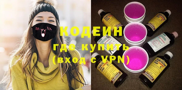сатива Иннополис
