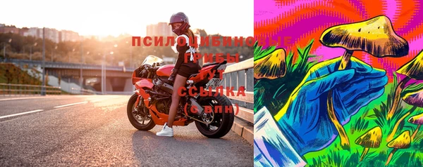стаф Инта