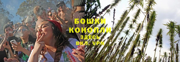 сатива Иннополис