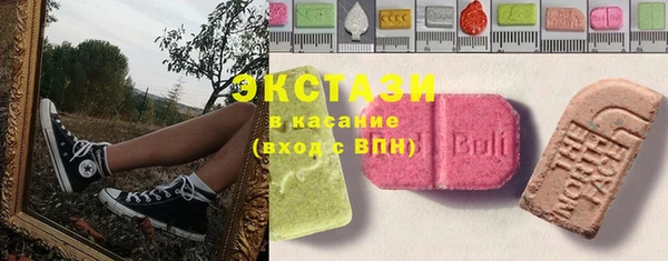 стаф Инта