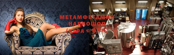 стаф Инта
