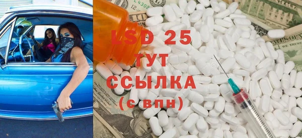 сатива Иннополис