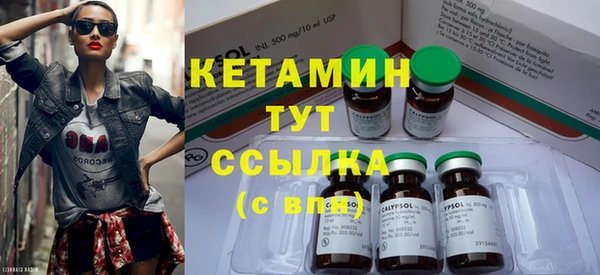 стаф Инта
