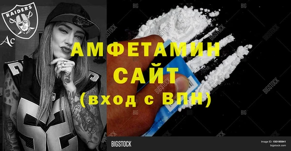 стаф Инта