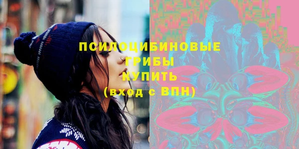 стаф Инта
