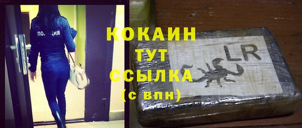 стаф Инта