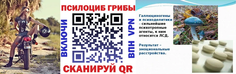 Купить  Вичуга  Псилоцибиновые грибы MAGIC MUSHROOMS 